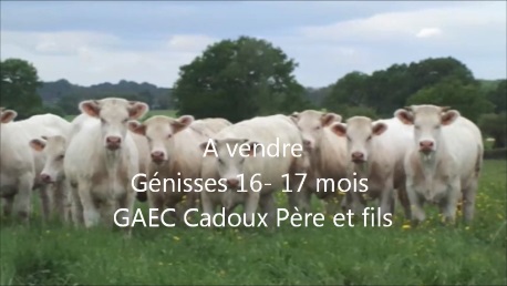 genisses 18 mois